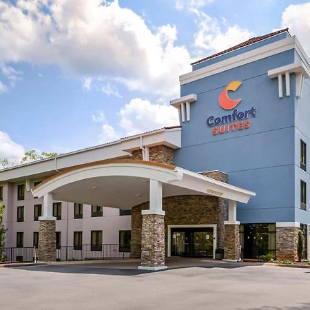 Comfort Suites At Kennesaw State University Kültér fotó